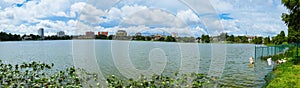 Lake Morton and the city center of lakeland Florida