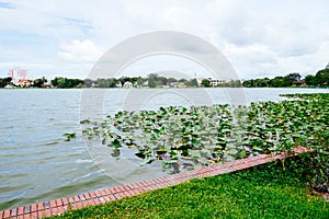 Lake Morton and the city center of lakeland Florida