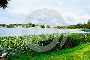 Lake Morton and the city center of lakeland Florida