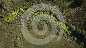 lake with moss in rebild bakker in denmark