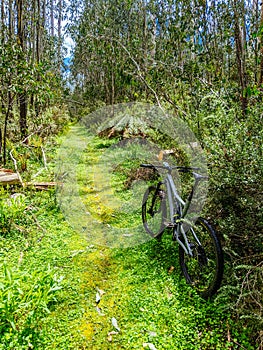 Lake Mountain Bike Park in Australia