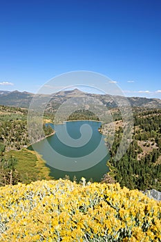 Lake And Mountain View