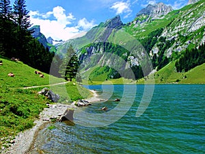 lake, mountain, water, landscape, nature, mountains, sky, blue, river, forest, summer, reflection, green, scenic, view, travel, cl