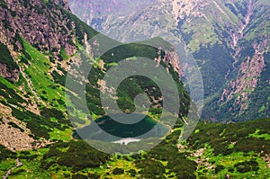 Lake in mountains in green summer scenery.