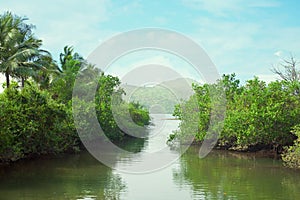 The lake, mountains and palm trees against sky