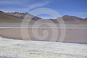 Lake between the mountains, with pink flamingo. Off-road tour on the salt flat Salar de Uyuni in Bolivia