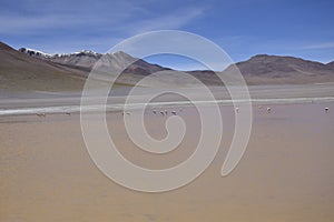 Lake between the mountains, with pink flamingo. Off-road tour on the salt flat Salar de Uyuni in Bolivia