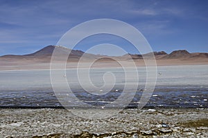 Lake between the mountains, with pink flamingo. Off-road tour on the salt flat Salar de Uyuni in Bolivia