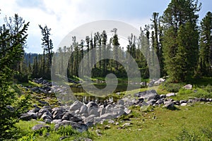 Lake in the mountains of Siberia