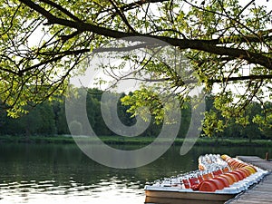 Lake in Muensterland