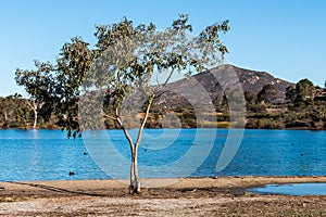 Lake Murray with Cowles Mountain in San Diego