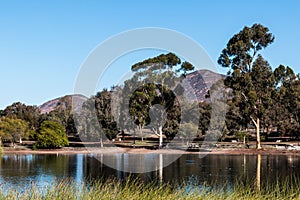 Lake Murray Trees with Cowles Mountain in San Diego