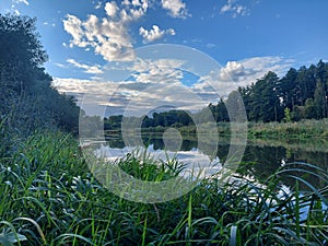 lake in The My Forest Dream