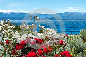 The Lake Nahuel Huapi