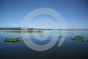 Lake naivasha