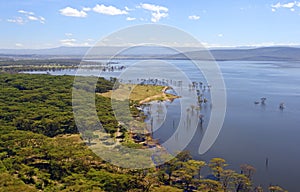 Lake Nakuru