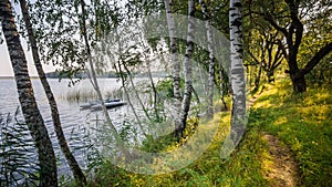 Lake Naroch. Belarus. View from the coast through coastal birch photo