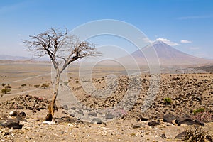 Lake Natron area landscape, Tanzania, Africa. Ol Doinyo Lengai volcano photo