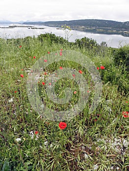 Lake near Metkovic, Croatia