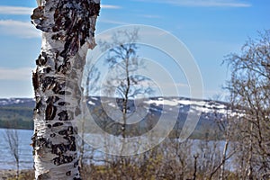 A lake near Nikkaluokta, north of Sweden. Kiruna municipality