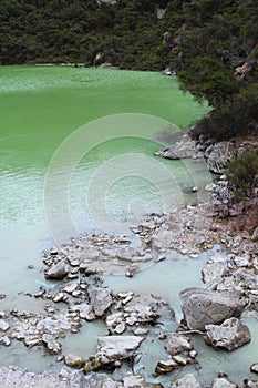 Lake Ngakoro