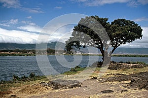 Lake in Ngorongoro Crater, Tanzania