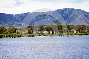 Lake, Ngorongoro Crater