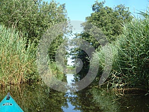 Lake from Nieuwkoop (Holland)