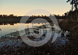 Lake Norton at Little Pee Dee State Park