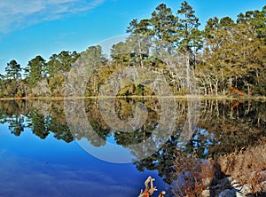 Lake Norton at Little Pee Dee State Park