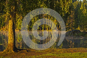 Lake in Norway sunbathing in beautiful morning light photo