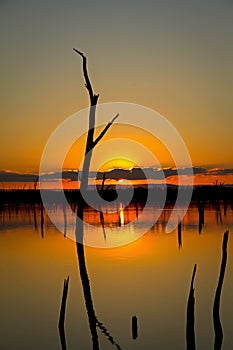 Sunrise at Lake Nuga Nuga, Queensland, on a still, calm morning.