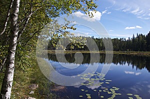 Lake in Nuuksio NP, Finland