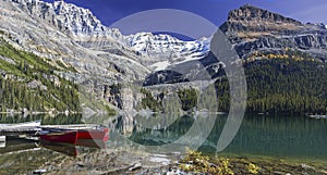 Lake O`Hara Autumn View Yoho National Park Canadian Rockies