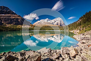 Lake O`Hara Daydream