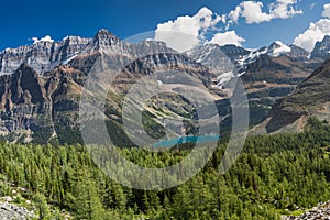 Lake O`Hara from Odaray Grandview