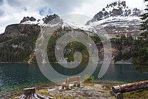 Lake O`Hara Rest Bench Yoho National Park Canadian Rocky Mountains