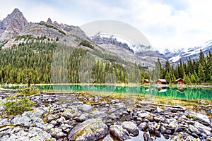 Lake O`Hara at Sargent`s Point in the Canadian Rockies of Yoho National Park