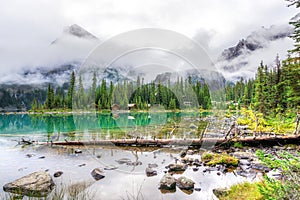 Lake O`Hara at Sargent`s Point in the Canadian Rockies of Yoho National Park