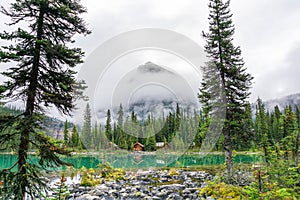 Lake O`Hara at Sargent`s Point in the Canadian Rockies of Yoho National Park