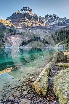 Lake O`Hara Scenic Shoreline