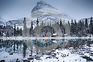 Lake O`hara with wooden hut and snow covered in pine forest on gloomy day at Yoho national park