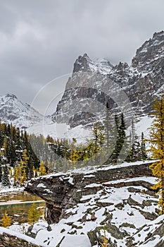 Lake O`Hara in Yoho National Park