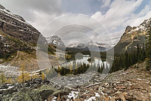 Lake O`Hara in Yoho National Park