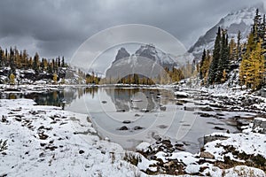 Lake O`Hara in Yoho National Park