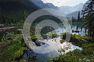 Lake O'Hara, Yoho National Park, Canadian Rockies, British Colum