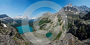 Lake O'Hara, Yukness Lake, Odaray Mountain & Wiwaxy Peaks in Yoh