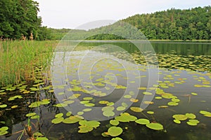 Lake Obst in summer season.