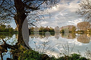Breh jazera so starým stromom, neskoré popoludnie. Modrá obloha s bielymi mrakmi, odraz vo vode. Jarná krajina
