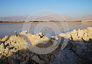 Lake in ornithological park in early dusk,  selective focus